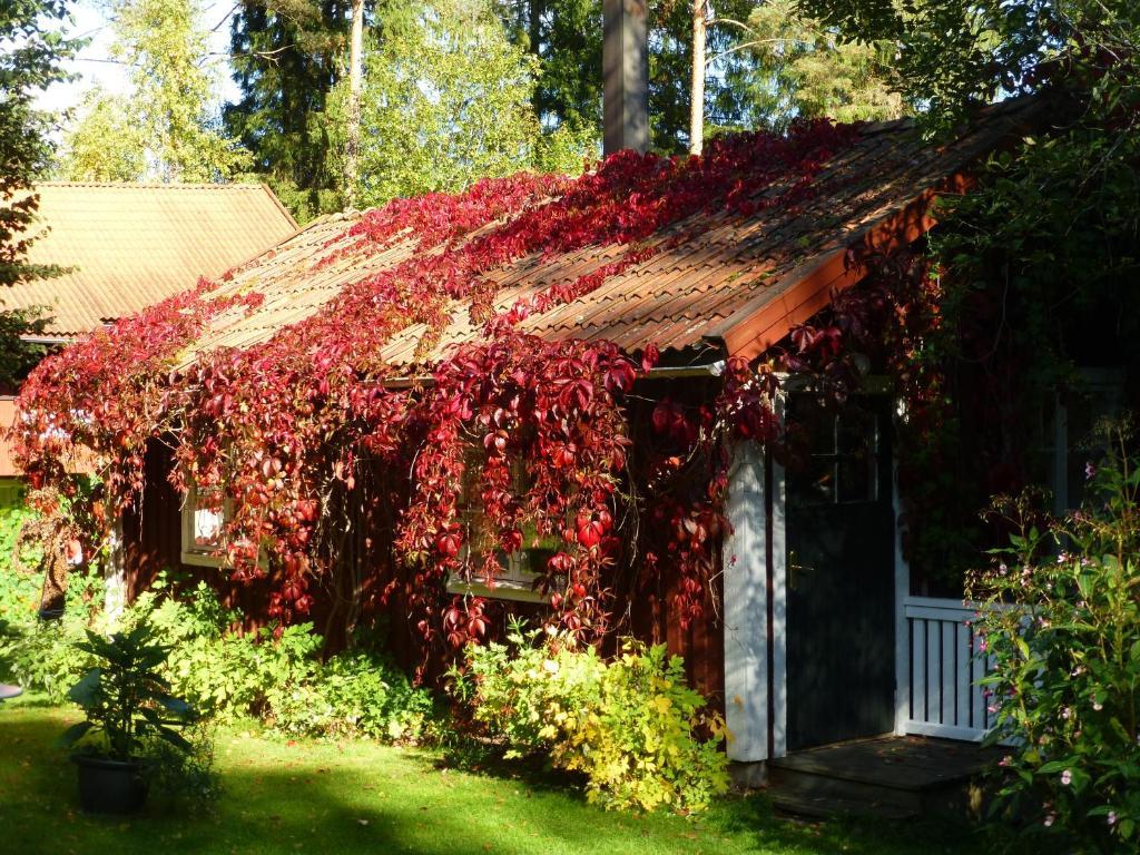 Praestmyrens Vandrarhem Ransäter Habitación foto