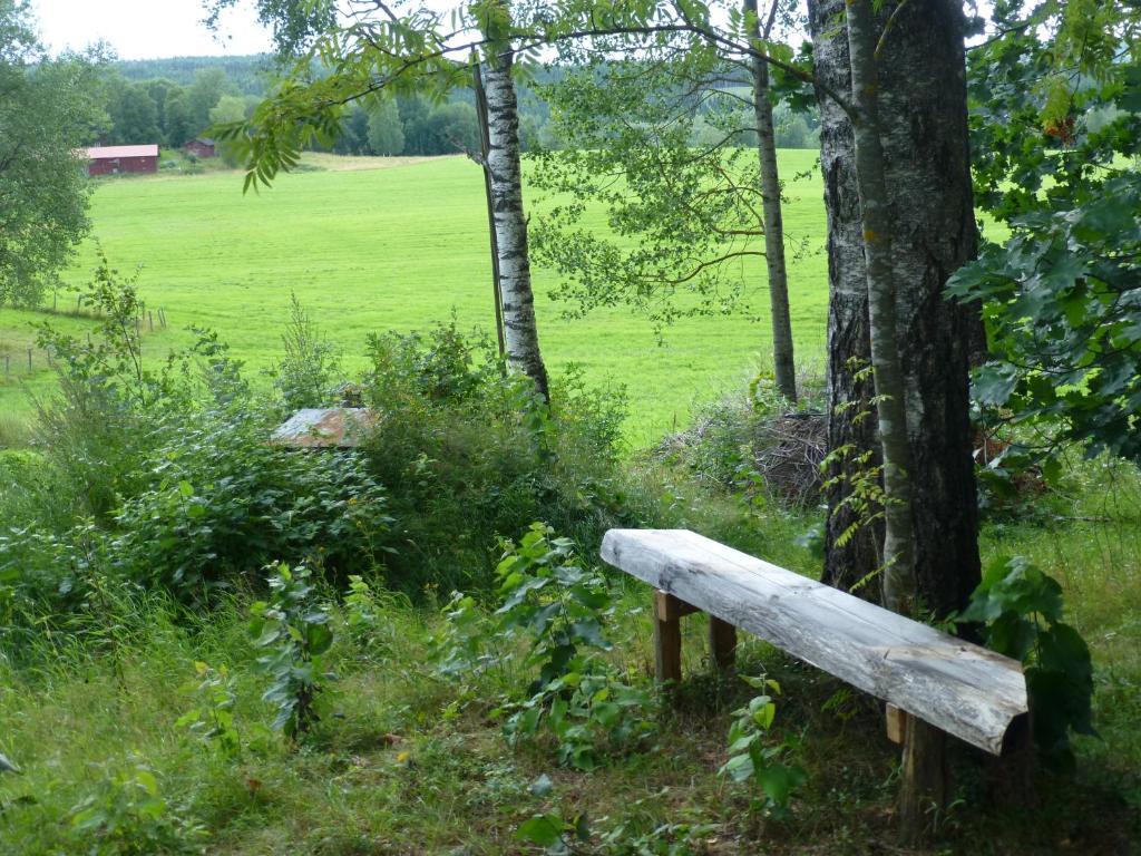 Praestmyrens Vandrarhem Ransäter Habitación foto